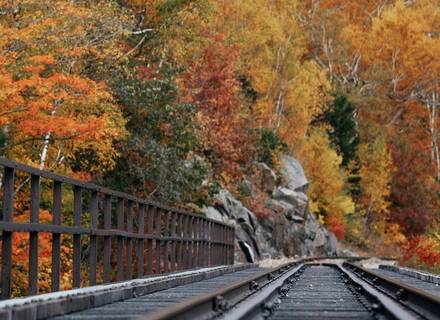 Renée Bertrams - St. Michael